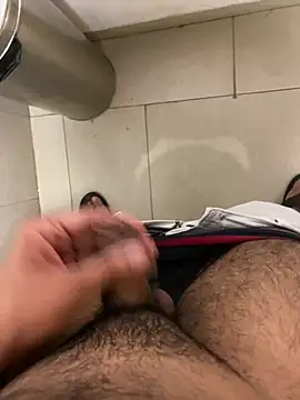 Show webcam de par_0111