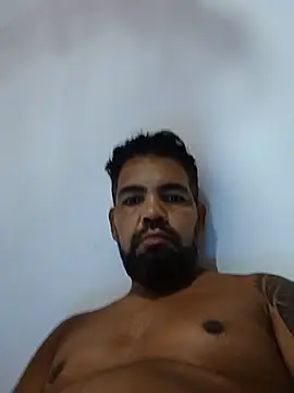 Show de webcam de adgato