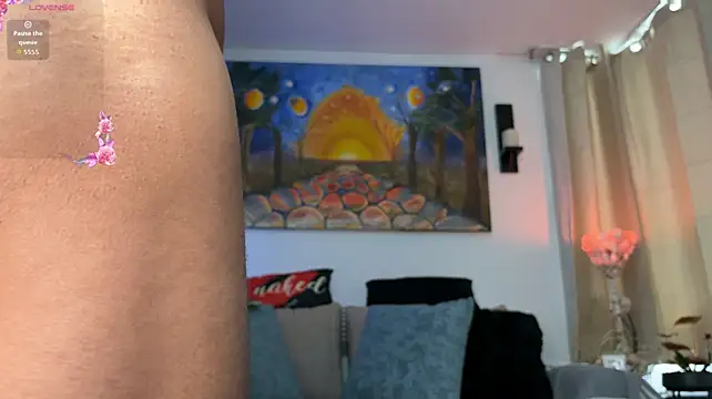 Show webcam de Adams_ricci