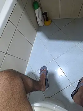 عرض كام dream_catcher