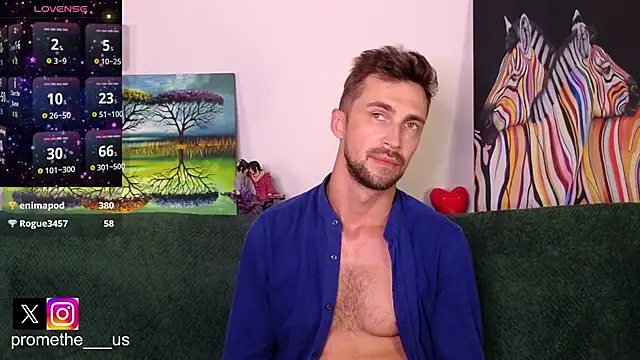 Show Webcam de Promethe_us
