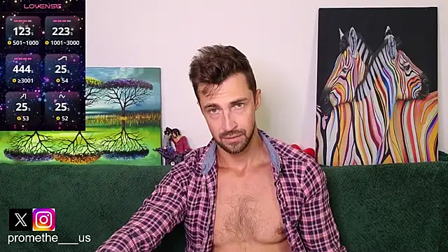 Show Webcam de Promethe_us