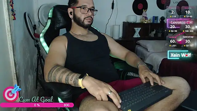 Show webcam de Xein_WoIf