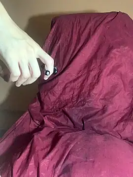 MiroKari2 Webcam-Show
