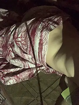 Show modela MiroKari2 na web-kameri