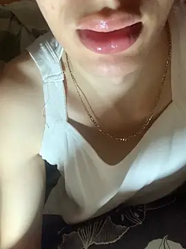 عرض كام MiroKari2
