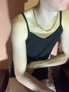 MiroKari2 Show Webcam