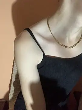 MiroKari2 Webcam-Show