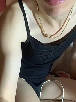 MiroKari2 Show Webcam