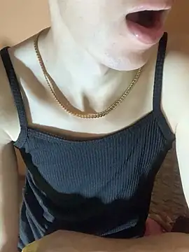 MiroKari2 webcam show