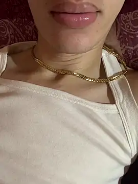 MiroKari2 Show Webcam