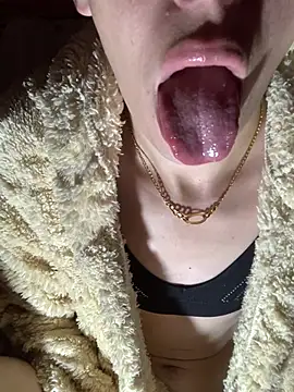 MiroKari2 Show Webcam