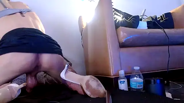 Pertunjukan Kamera Web Taylorsexbot