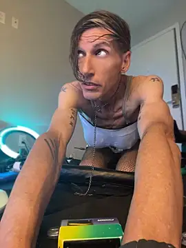 Show webcam de Taylorsexbot