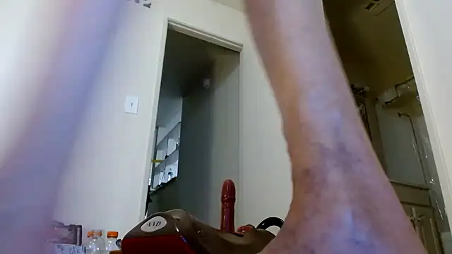 Show Webcam de Taylorsexbot