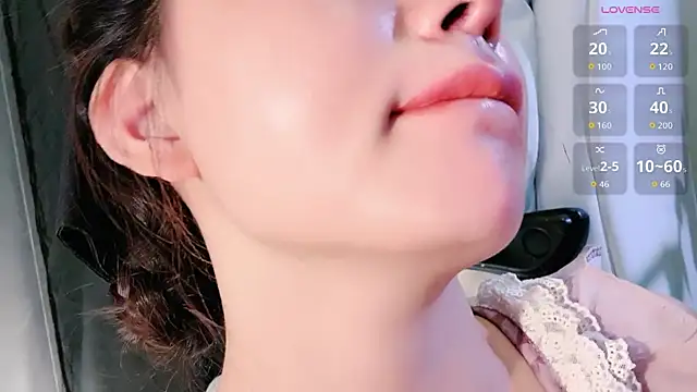 lvy-w Show Webcam