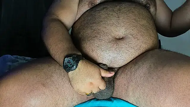 Bearspigdirty Show Webcam
