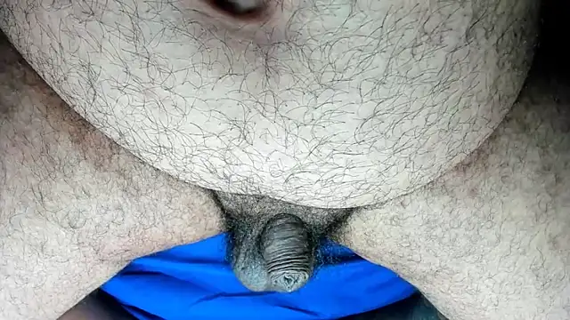 Bearspigdirtyn Webbikameraesitys