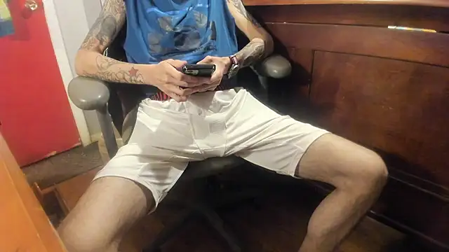 Show Webcam de FelixChirp