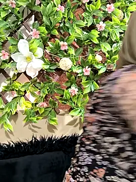 Katy__A 웹캠 쇼