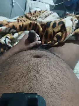 Show de Mailsonp na webcam