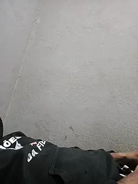 Mailsonpn Webbikameraesitys
