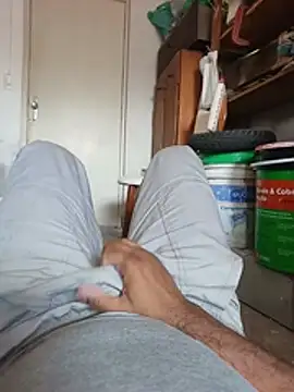 Show de Mailsonp na webcam