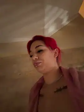 Dollyredn Webbikameraesitys