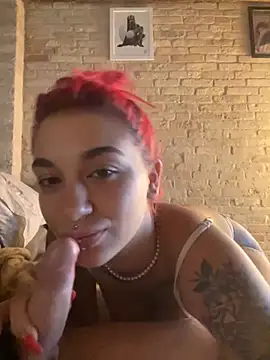 عرض كام Dollyred