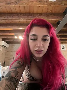Dollyred Show Webcam