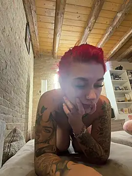 عرض كام Dollyred