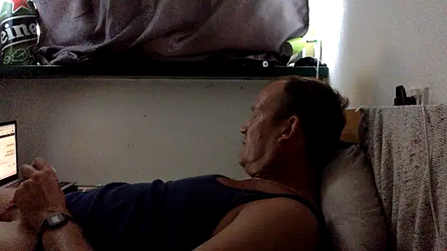 dlvis12n Webbikameraesitys