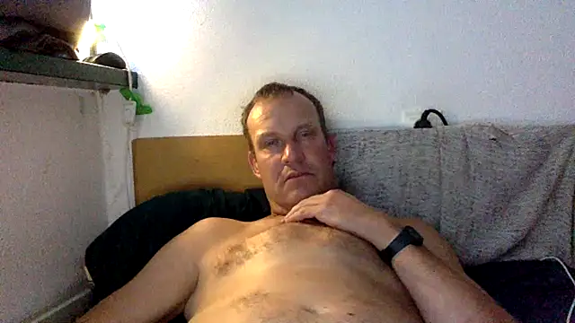 dlvis12n Webbikameraesitys