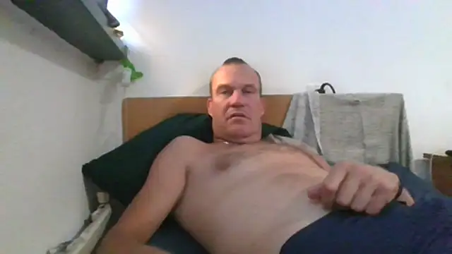 dlvis12n Webbikameraesitys