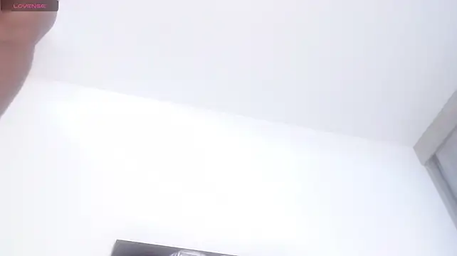 drake_brwon_23n Webbikameraesitys