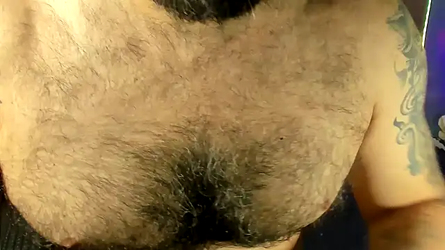 عرض كام Prometeo-grizzly