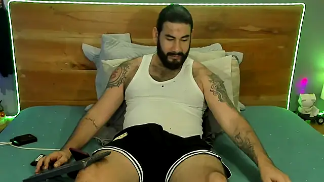 Show Webcam de Prometeo-grizzly