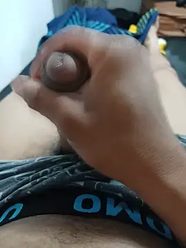 jas_tss12 Webcam-Show
