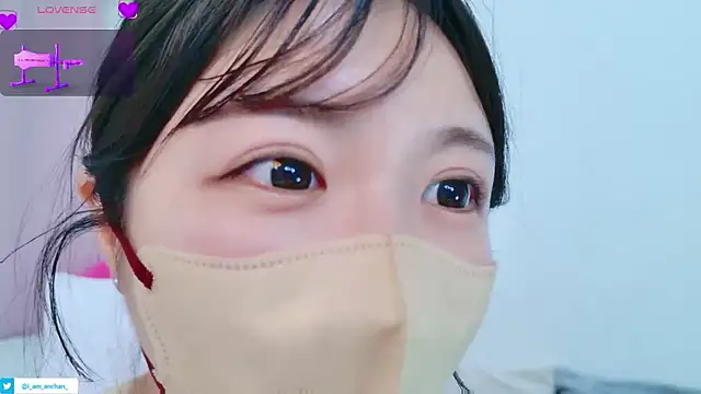 anchan_ Chat XXX live