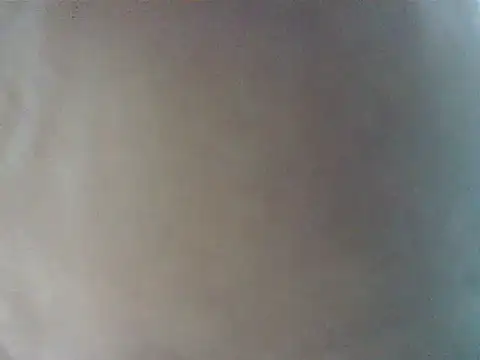 Gregcam Webcam show