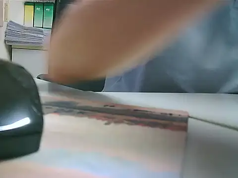 Webkamerová show Gregcam