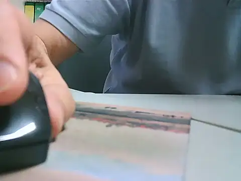 Gregcamのウェブカメラショー