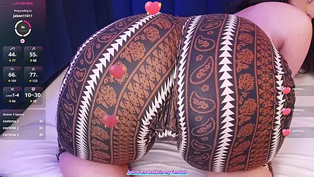 BeeaMayer Webcam-Show