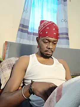 69_SINNSn Webbikameraesitys