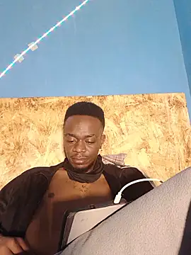 69_SINNSn Webbikameraesitys