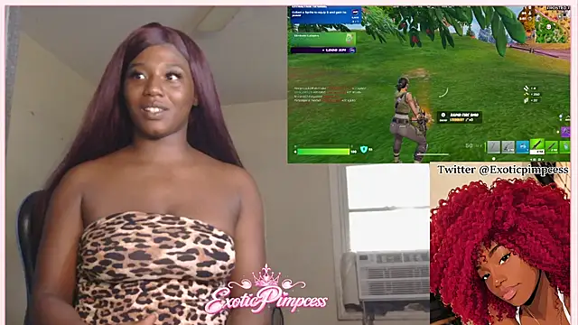 ApAfterDark's Webcam Show