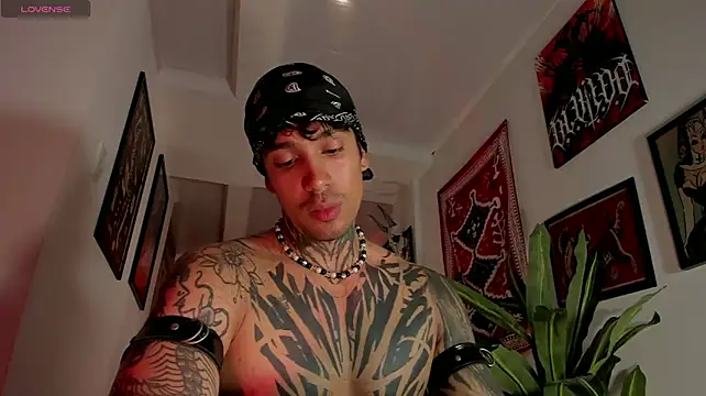 הופעת וובקאם של TigerStripes1_