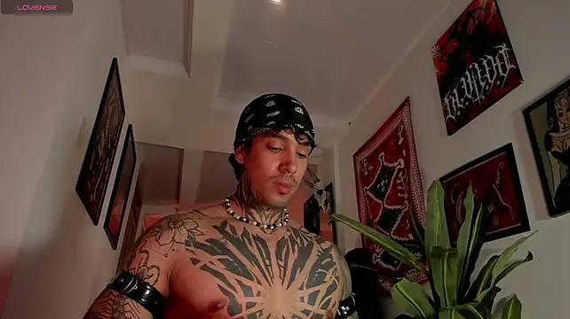 TigerStripes1_ – webcam-show