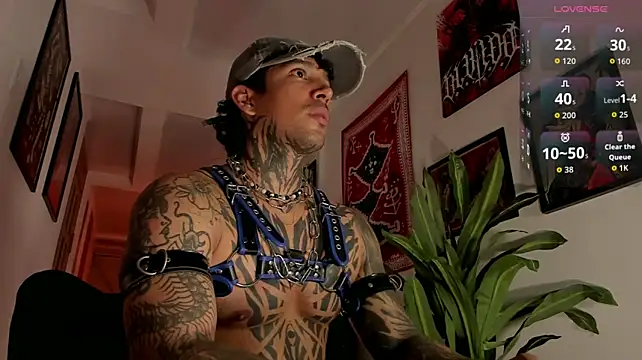 TigerStripes1_ Webcam Show