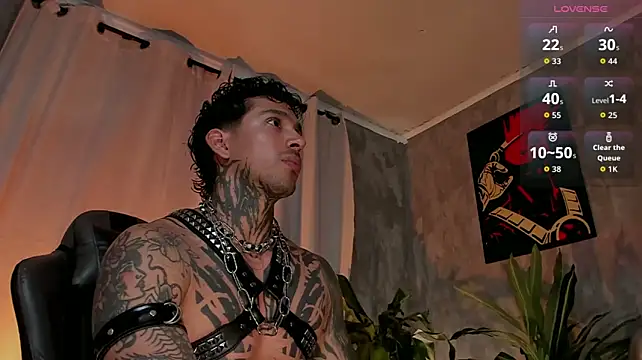 TigerStripes1_ Show Webcam